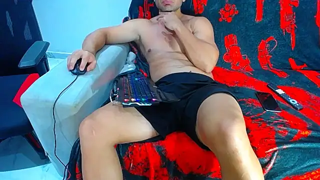 hugo_19cm webcam