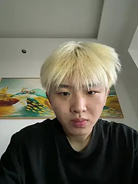 Cnmp6666 webcam