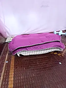 Phoebe-e webcam