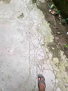 lambakooli webcam