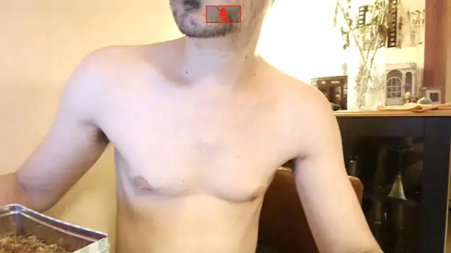 Hgay6935 webcam