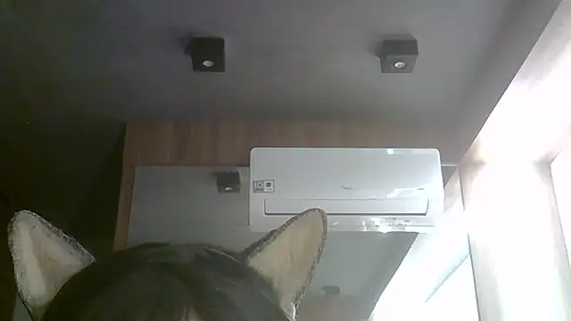 SkinnyKitten webcam