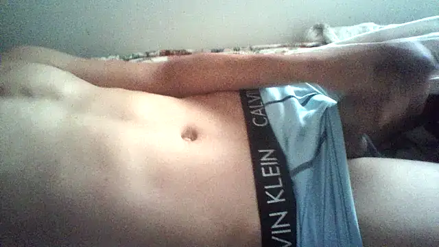 novilho18piroc webcam