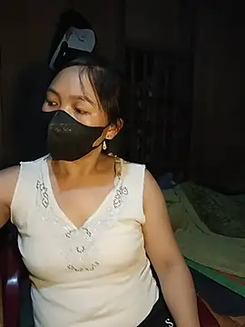 Hiha-nn webcam