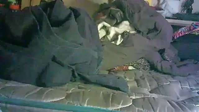 CR3M3_FIR3 webcam