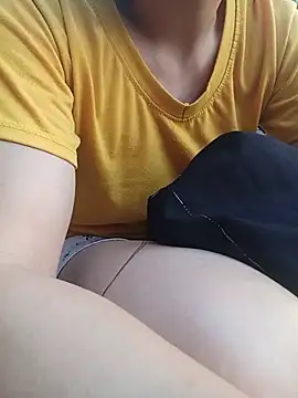Phinminlisa webcam
