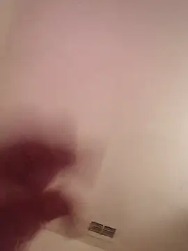 Modollah4 webcam