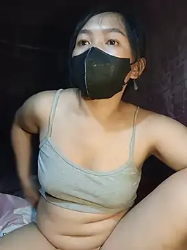 Hiha-nn webcam