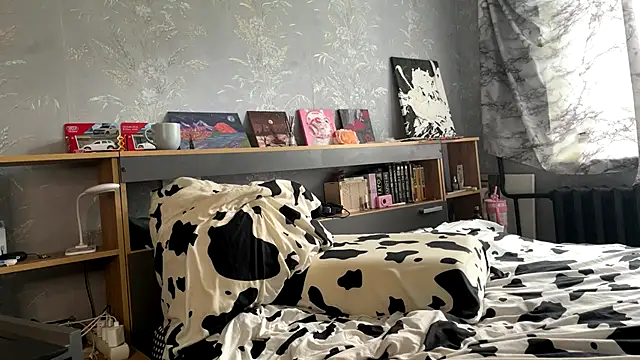 Isla_Mur webcam