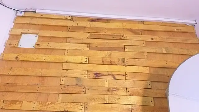 pixy_20 webcam