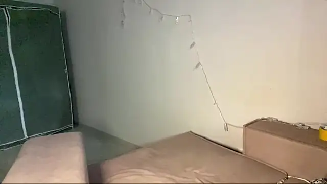 TalorSprint webcam