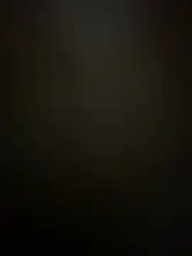 Frosl webcam
