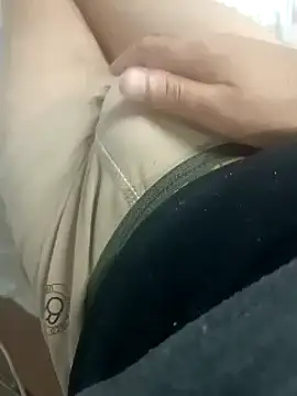 Sphynx010 webcam