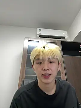 Cnmp6666 webcam
