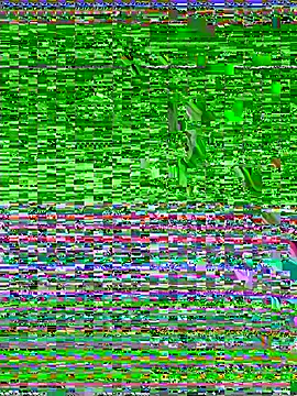EmmySuiyugh webcam