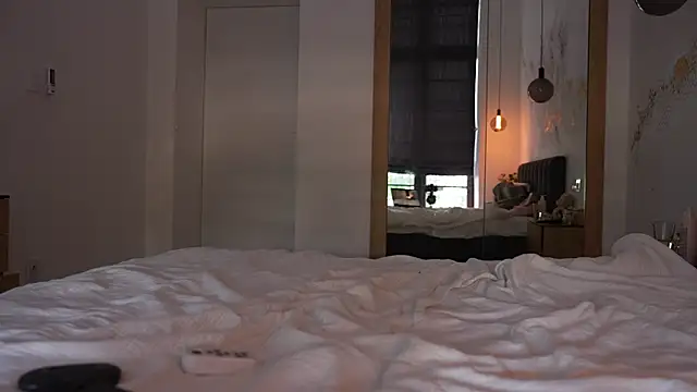 ibiddi webcam