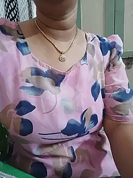Hansikatelugu webcam