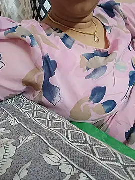 Hansikatelugu webcam