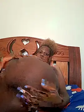 meshje webcam