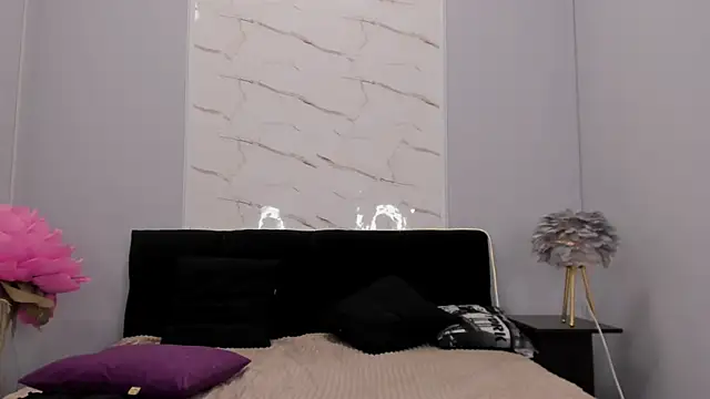 EvaSix small frame webcam model