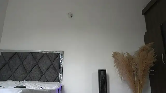 sowfit webcam