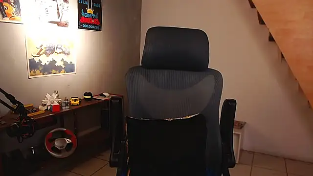 Thieves9 webcam