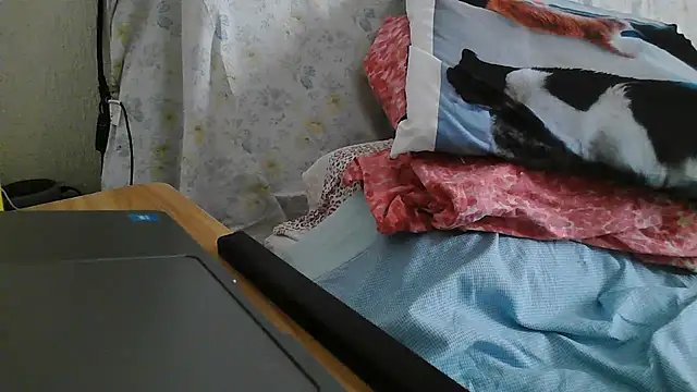VeneRed webcam