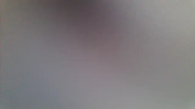 NuttyProfesir webcam