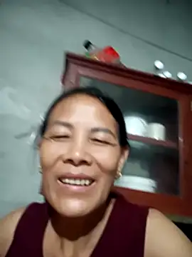 toyo_668 webcam