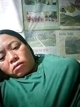 Min-in webcam