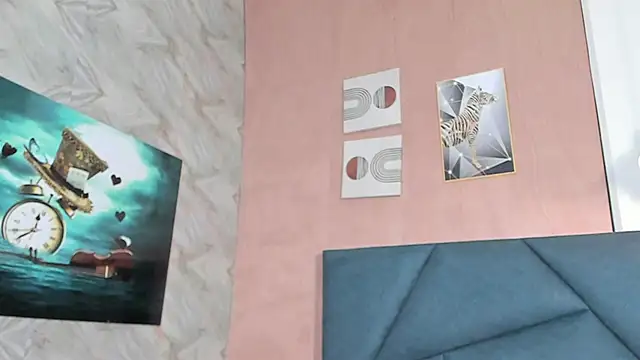 LaurentFerrer webcam