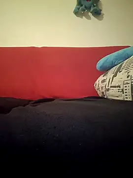 Doudoulecoquin webcam
