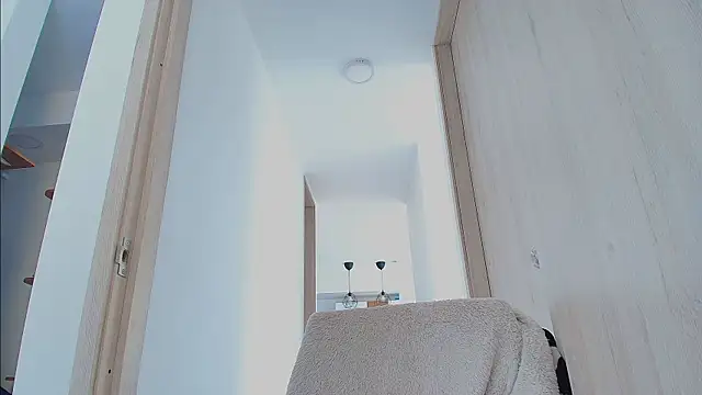 Preview of thomas_gun