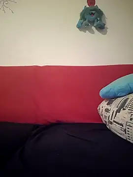 Doudoulecoquin webcam