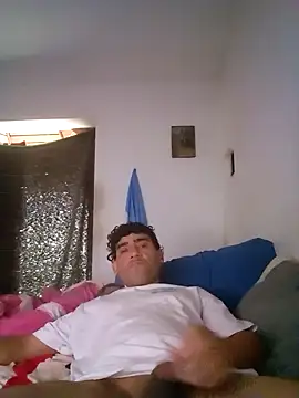 wa379 webcam
