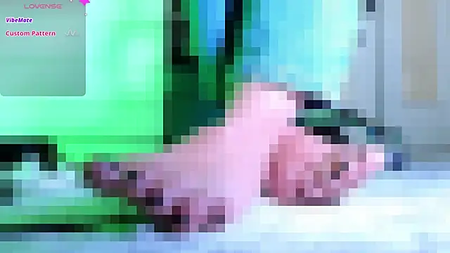 _owner webcam