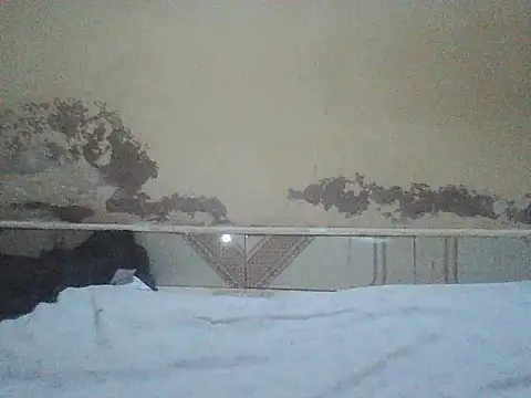 Naivegirrl webcam