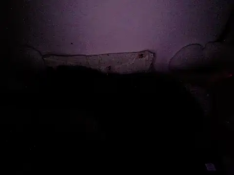 Haruka95 webcam