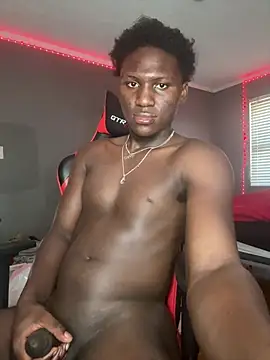 Festivitiesking1 webcam