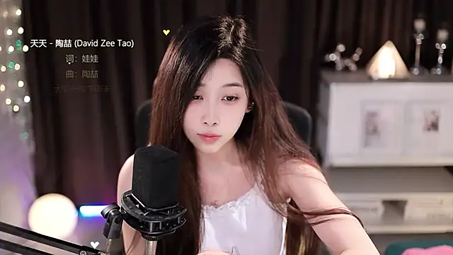 SleepArtist webcam