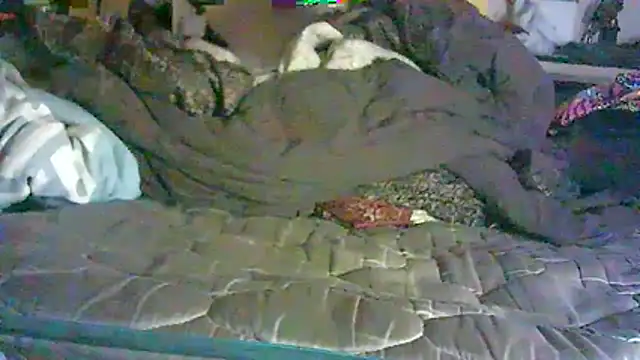 CR3M3_FIR3 webcam