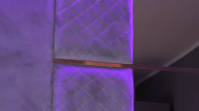SelenaFrost webcam