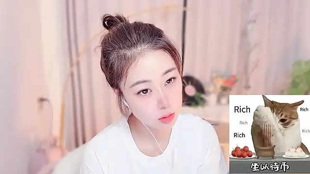 CC-777888 webcam