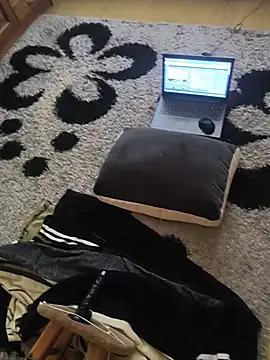ser222ser webcam