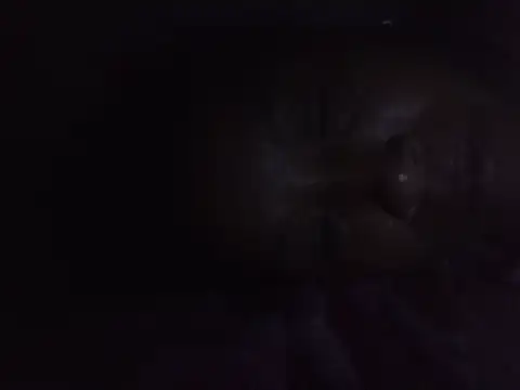 Henry-2k webcam