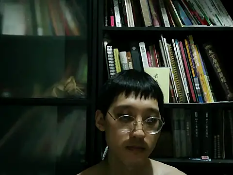Lv8763 webcam