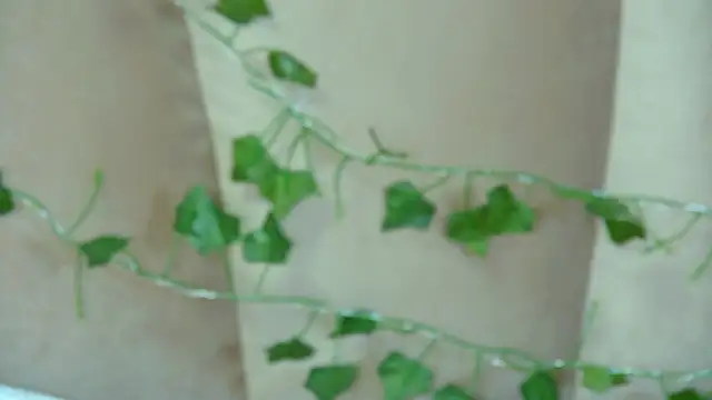 GentleRossi