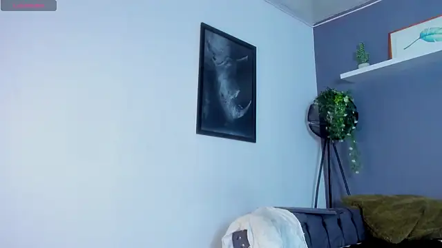 Kira_Exe_ webcam