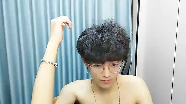 wssoo11 webcam
