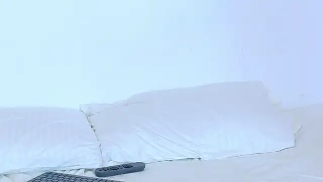AkiraTamura webcam